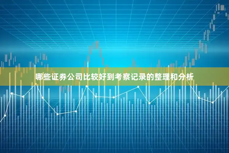 哪些证券公司比较好到考察记录的整理和分析