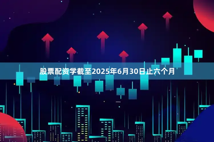 股票配资学截至2025年6月30日止六个月