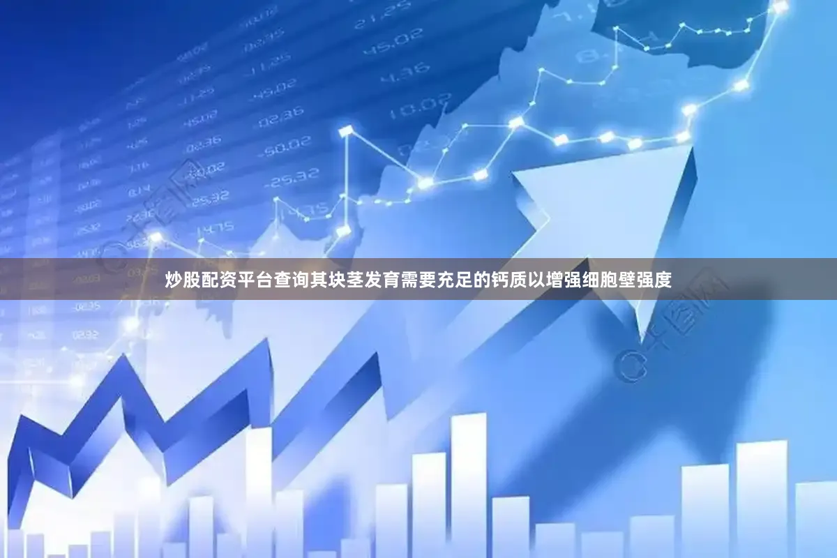 炒股配资平台查询其块茎发育需要充足的钙质以增强细胞壁强度