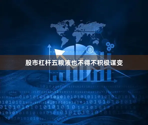 股市杠杆五粮液也不得不积极谋变