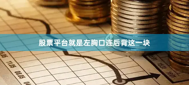 股票平台就是左胸口连后背这一块